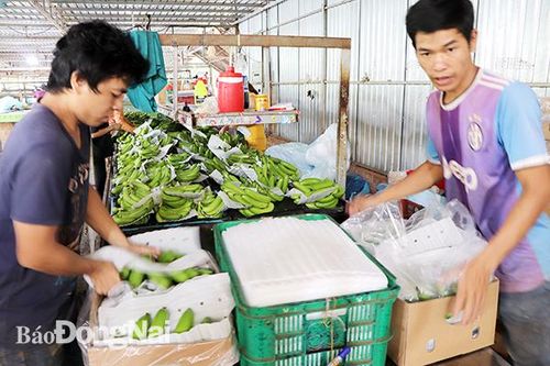 Sản xuất nông nghiệp: Chủ động thích nghi với tình hình mới