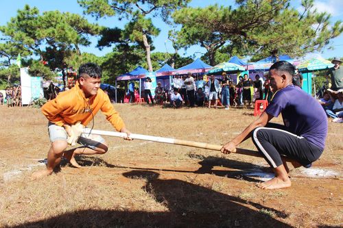 Hơn 6.000 lượt du khách đến tham quan, trải nghiệm đồi cỏ hồng Glar