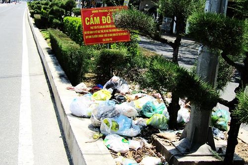 Vứt rác lên dải phân cách