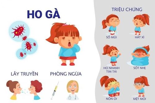 Cần chú ý phòng bệnh ho gà cho trẻ
