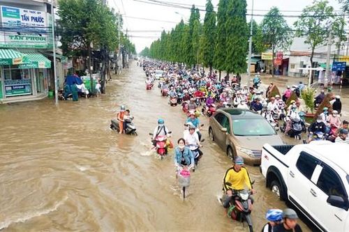 Điêu đứng vì triều cường
