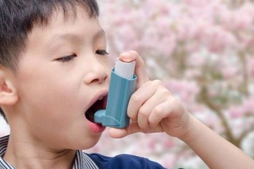 Đề phòng hen phế quản tiết sang mùa