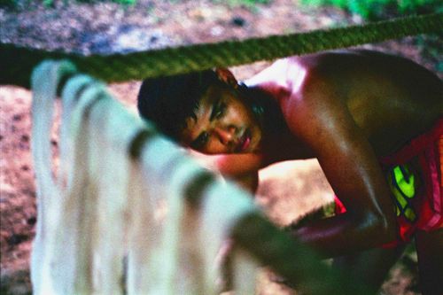 Không gian tập Muay Thái xuyên rừng tại Krabi, Thái Lan
