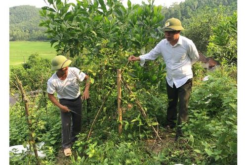 Nguồn lực mới cho công tác bảo vệ rừng