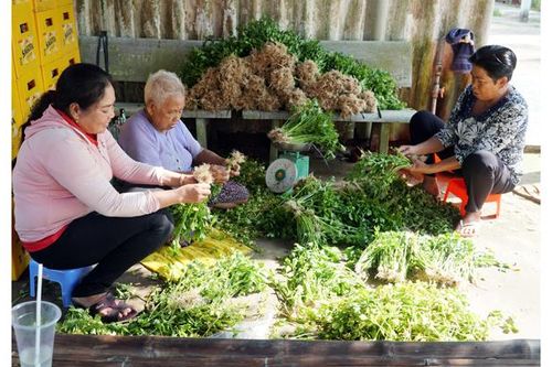 Phát huy vai trò tổ chức đảng trong đồng bào dân tộc ở Sóc Trăng