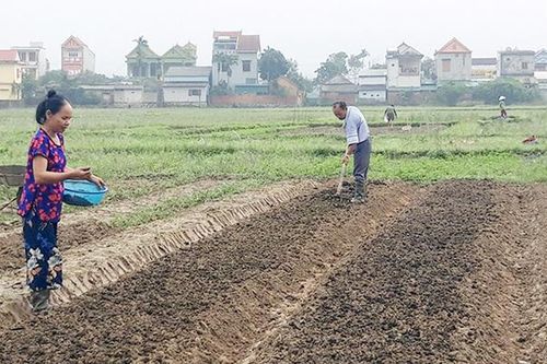Ổn định sản xuất và đời sống nhân dân sau bão, lũ