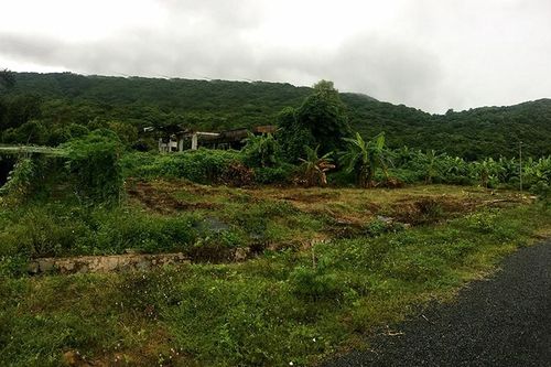 Công an vào cuộc việc 'trùng khớp' trong đấu giá khu đất 80.000m2 ở Côn Đảo