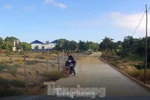 Khởi tố chủ trang trại xây dựng trái phép trên núi Hòn Rồng