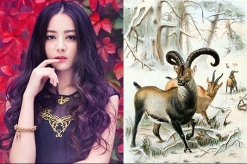 3 con giáp tuần này cực tốt, tiền bạc quấn thân, rủng rỉnh tiêu đến Tết