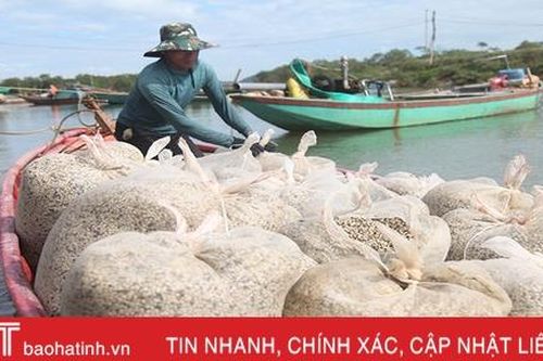 Người nuôi ngao ở Hà Tĩnh khôi phục sản xuất sau mưa lũ