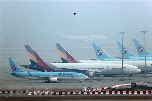 IATA: Dịch COVID-19 khiến doanh thu ngành hàng không lao dốc