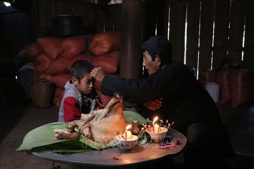 Độc đáo Tết Hoa mào gà của đồng bào dân tộc Cống