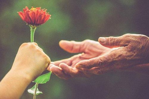 Có phải chúng ta luôn tử tế với người ngoài hơn người thân?