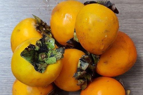 Cụ ông 63 tuổi bị tắc ruột vì ăn quá nhiều hồng