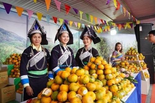Tuần lễ quýt Mường Khương và các sản phẩm nông nghiệp tỉnh Lào Cai tại Hà Nội