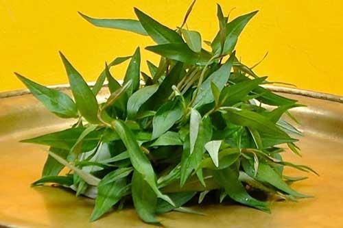 Những đại kỵ khi ăn rau răm, rất ít người biết