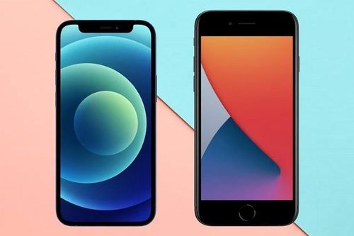 Thích smartphone nhỏ cao cấp, nên chọn iPhone 12 mini hay iPhone SE 2020?
