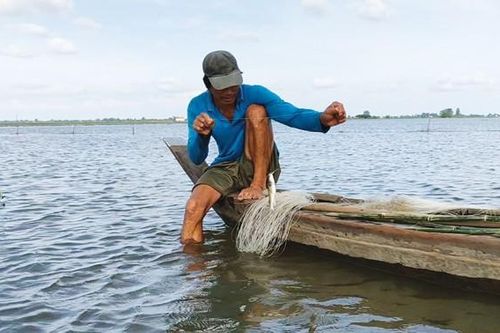 Chuyện mưu sinh mùa... lũ muộn