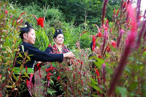 Độc đáo Tết Hoa của dân tộc Cống ở Lả Chà