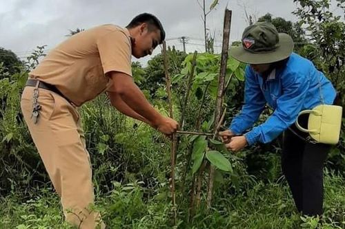 Ayun Pa: Lan tỏa phong trào 'Thứ bảy tình nguyện'