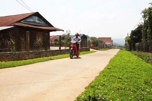 Nhìn lại 5 năm tham gia bảo vệ môi trường của các tổ chức tôn giáo