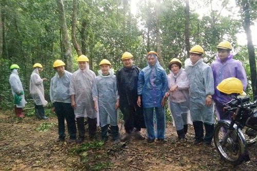 Bảo vệ và phát triển rừng bền vững - phối hợp nhiều giải pháp