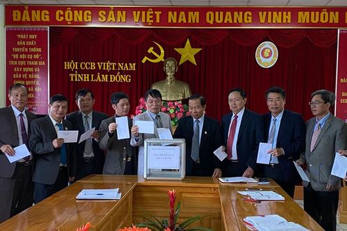 Đẩy mạnh phong trào thi đua 'Cựu chiến binh gương mẫu'