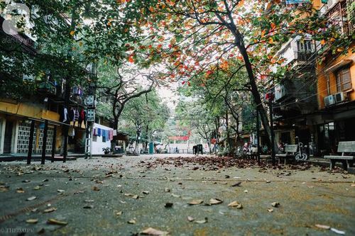 Thời tiết 24-11: Không khí lạnh tràn về, miền Bắc nhiệt độ giảm nhẹ