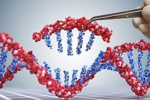 Israel tìm ra cách tiêu diệt tế bào ung thư không gây tác dụng phụ