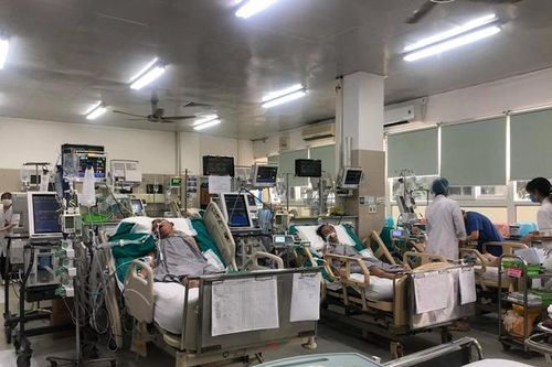Nhiều ca nguy kịch và tử vong vì thói quen tự dùng kháng sinh