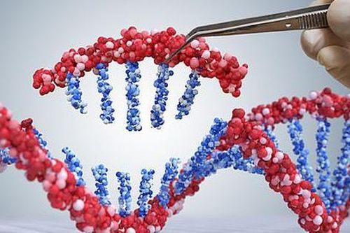Các nhà khoa học tìm ra cách tiêu diệt tế bào ung thư bằng công nghệ mới đột phá, không gây tác dụng phụ