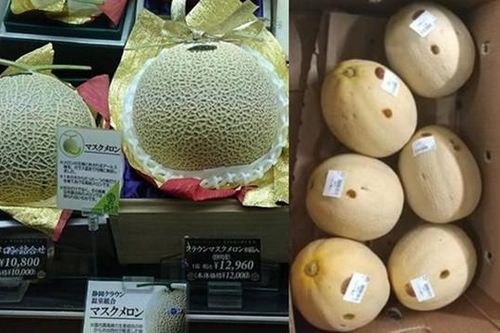 Bà cụ chỉ dùng ngón tay để chọc thủng 13 quả dưa siêu đắt ở Nhật, cố tình làm cho dưa bị ế