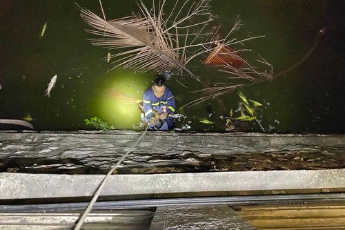 Thực hiện nhiệm vụ với tinh thần quyết tâm cao nhất