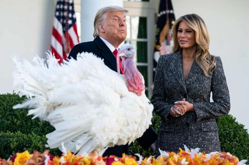 Tổng thống Trump xá tội gà tây tại Nhà Trắng