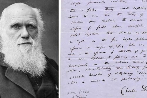 Hai trang viết tay 'Nguồn gốc các loài' của Charles Darwin