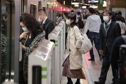 Phát hiện 'họ hàng' của virus SARS-CoV-2 ở các con dơi đông lạnh tại Campuchia và Nhật Bản