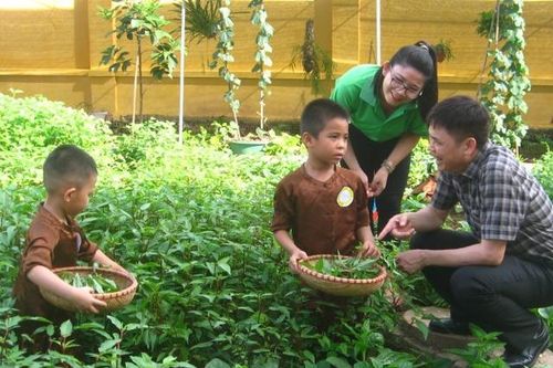 Sau thành công phổ cập GD cho trẻ mầm non 5 tuổi - hướng tới mục tiêu nào?
