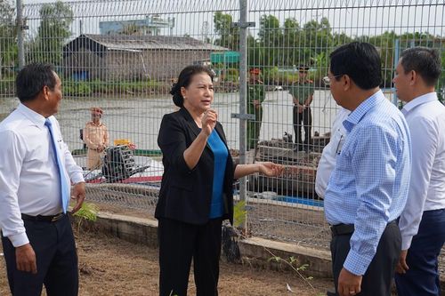 Chủ tịch Quốc hội Nguyễn Thị Kim Ngân thăm vùng căn cứ Tân Hưng