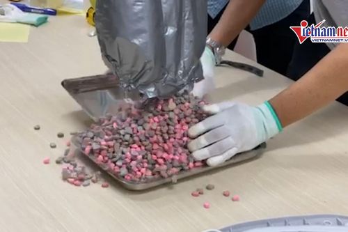 Thu giữ hơn 20kg ma túy trong các lô hàng quà biếu