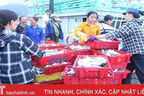 Thời tiết thuận lợi, ngư dân Hà Tĩnh vươn khơi đón 'lộc biển'
