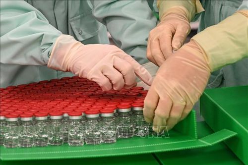 Mỹ có thể phân phối vaccine ngừa COVID-19 sau ngày 10/12