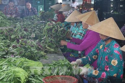 Sắp diễn ra Đại hội toàn quốc Liên minh Hợp tác xã Việt Nam lần thứ VI