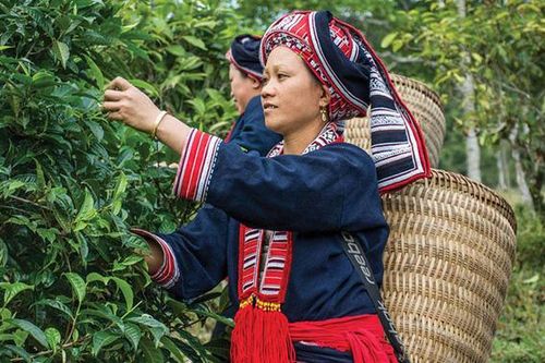 Thúc đẩy phát triển sản phẩm chế biến nông sản sinh thái - công bằng