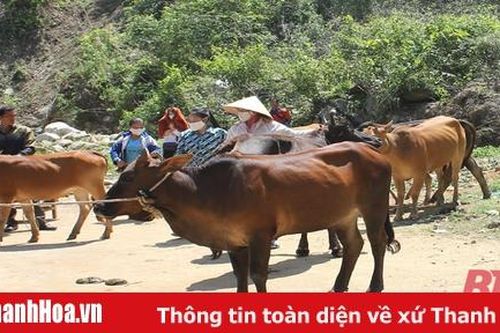 Trao phương tiện sản xuất - cách giảm nghèo hiệu quả