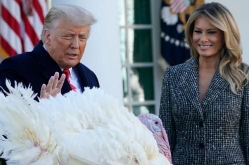 Lễ xá tội gà tây cuối cùng tại Nhà Trắng: Tổng thống Trump tuyên bố sắp có vaccine COVID-19