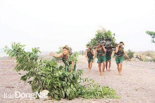Trung đoàn 31 hoàn thành đợt diễn tập bắn đạn thật an toàn