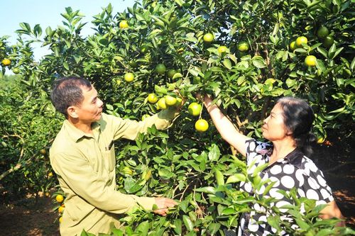Giữ mối liên hệ mật thiết với nhân dân