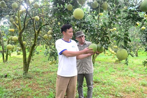 Thước đo kinh tế trang trại