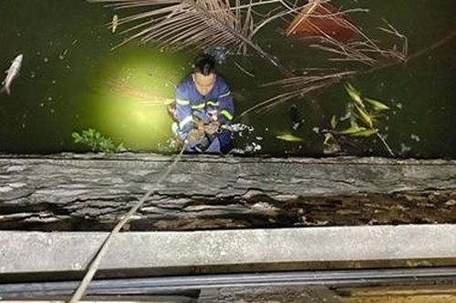 Cô gái bị rơi xuống Hồ Tây trong đêm được Công an cứu sống
