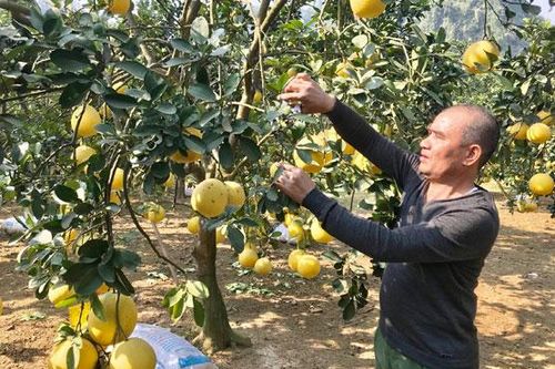 Quản lý từ gốc chất lượng nông sản